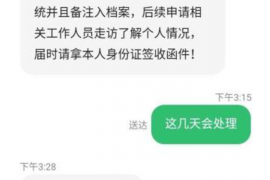 平阴平阴的要账公司在催收过程中的策略和技巧有哪些？