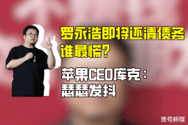 平阴为什么选择专业追讨公司来处理您的债务纠纷？